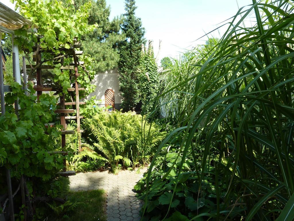 Pension Muench "Am Anger" Neuseusslitz Extérieur photo